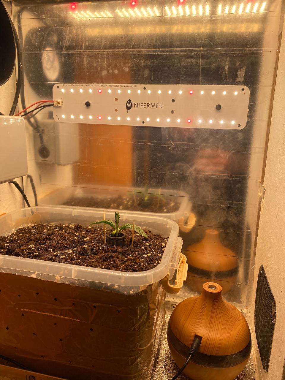 так и живем.jpg