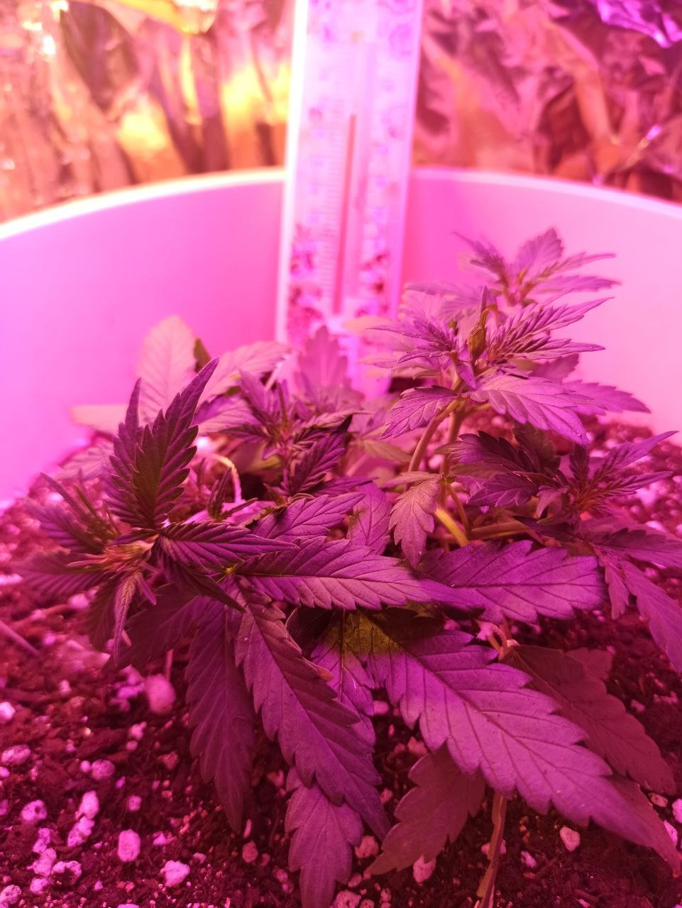 photo_2022-11-02_16-19-07.jpg photo_2022-11-02_16-19-07.jpg