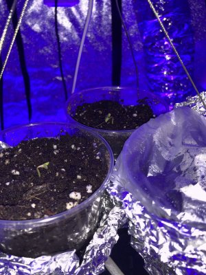 757D9257-DF02-48EE-82E5-D48860008E3F.jpeg 757D9257-DF02-48EE-82E5-D48860008E3F.jpeg