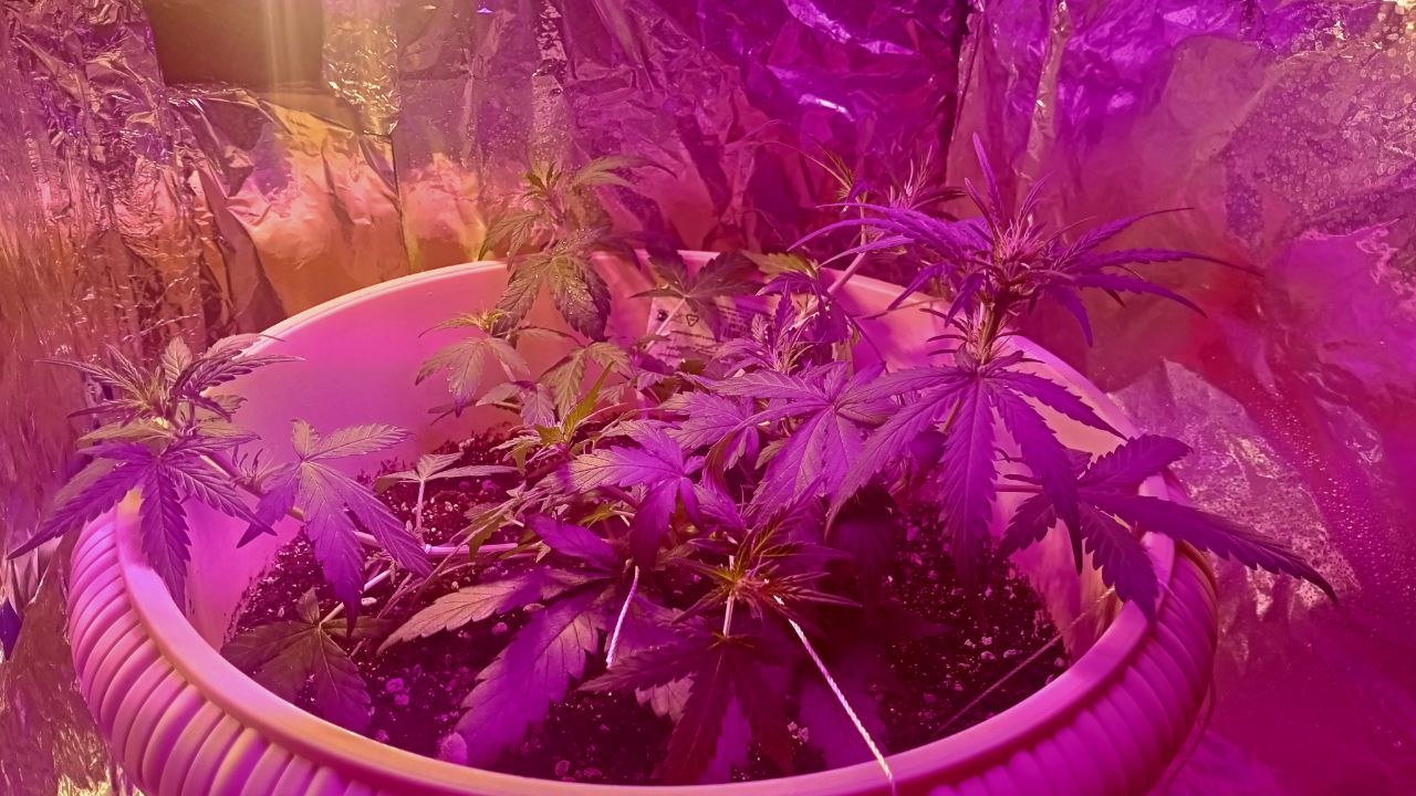 photo_2022-11-08_12-53-05 (2).jpg photo_2022-11-08_12-53-05 (2).jpg