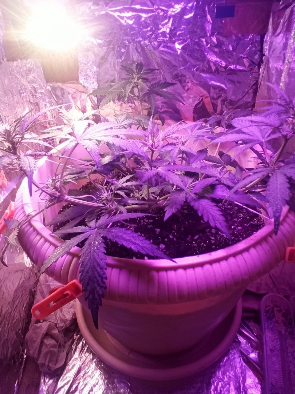 photo_2022-11-11_01-12-05.jpg photo_2022-11-11_01-12-05.jpg