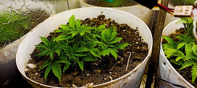 PSX_20221110_175827.jpg PSX_20221110_175827.jpg