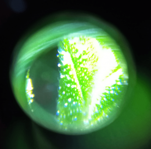 PSX_20221112_112851.png PSX_20221112_112851.png