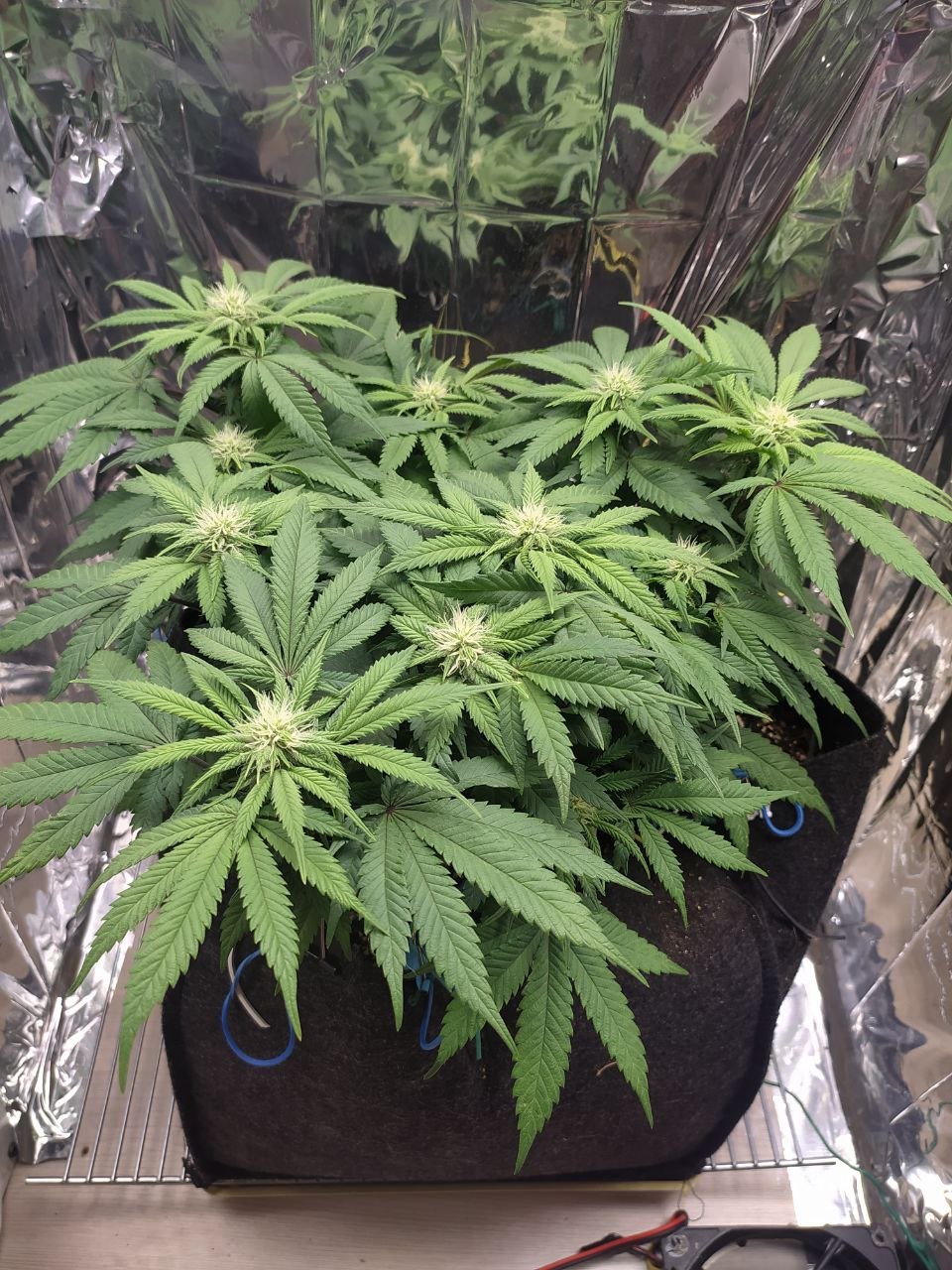 24 — копия.jpg 24 — копия.jpg