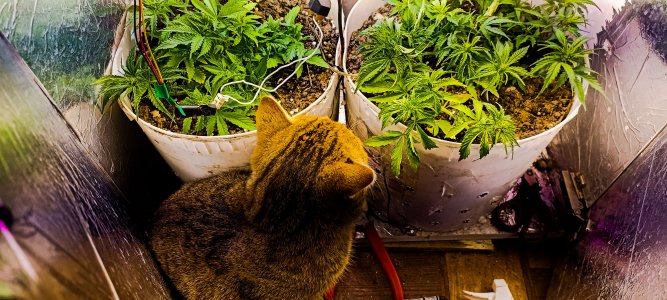 PSX_20221115_075941.jpg PSX_20221115_075941.jpg