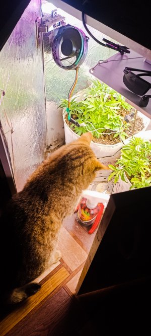 PSX_20221115_075834.jpg PSX_20221115_075834.jpg