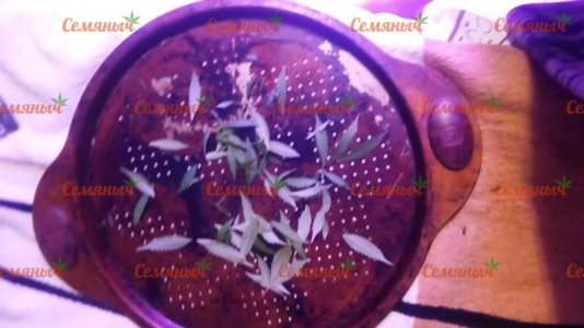 2027-wm-64993.40000003576_watermarked.jpg 2027-wm-64993.40000003576_watermarked.jpg