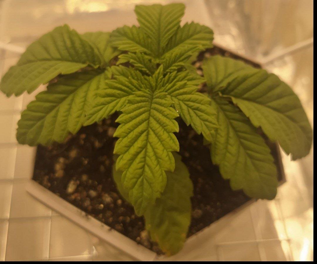 12 — копия.jpg