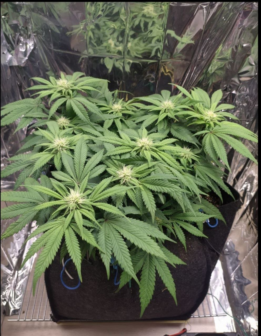 58 — копия.jpg