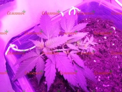 2130-wm-19039.90000000596_watermarked.jpg 2130-wm-19039.90000000596_watermarked.jpg