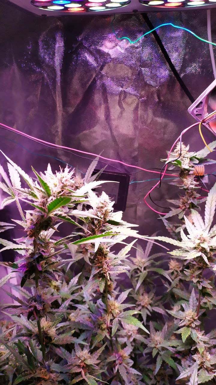 photo_2022-11-20_11-40-46 (2).jpg