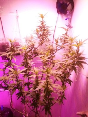 PSX_20221120_195056.jpg PSX_20221120_195056.jpg