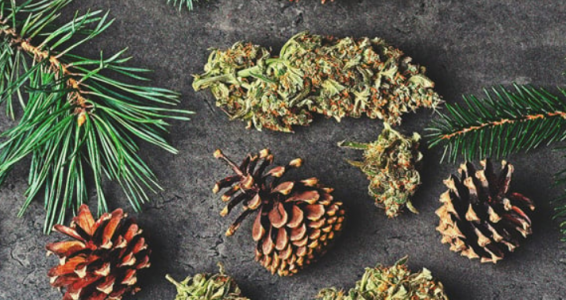 1668977936213.png 1668977936213.png