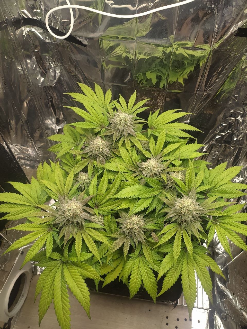 2 — копия.jpg