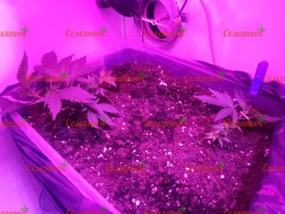 2228-wm-45272_watermarked.jpg 2228-wm-45272_watermarked.jpg