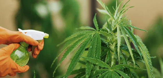 1669745525618.png 1669745525618.png