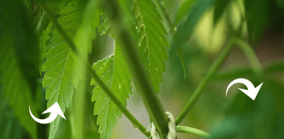 1669745589801.png 1669745589801.png