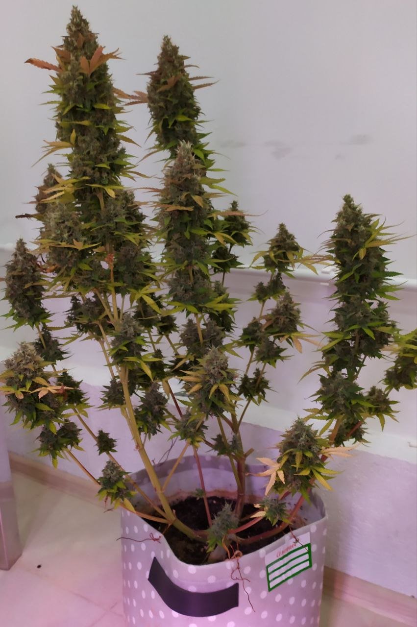 photo_2022-11-30_19-12-33 (3).jpg