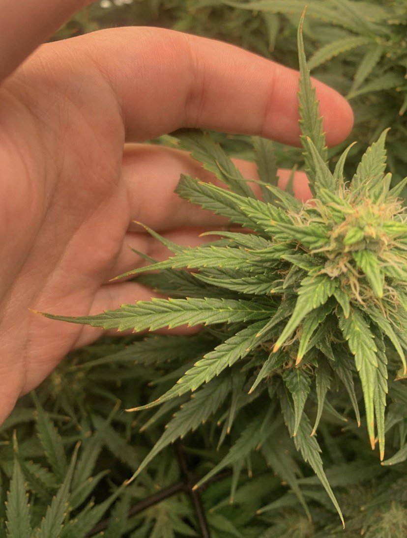 photo_2022-12-01_17-56-12 (2).jpg photo_2022-12-01_17-56-12 (2).jpg