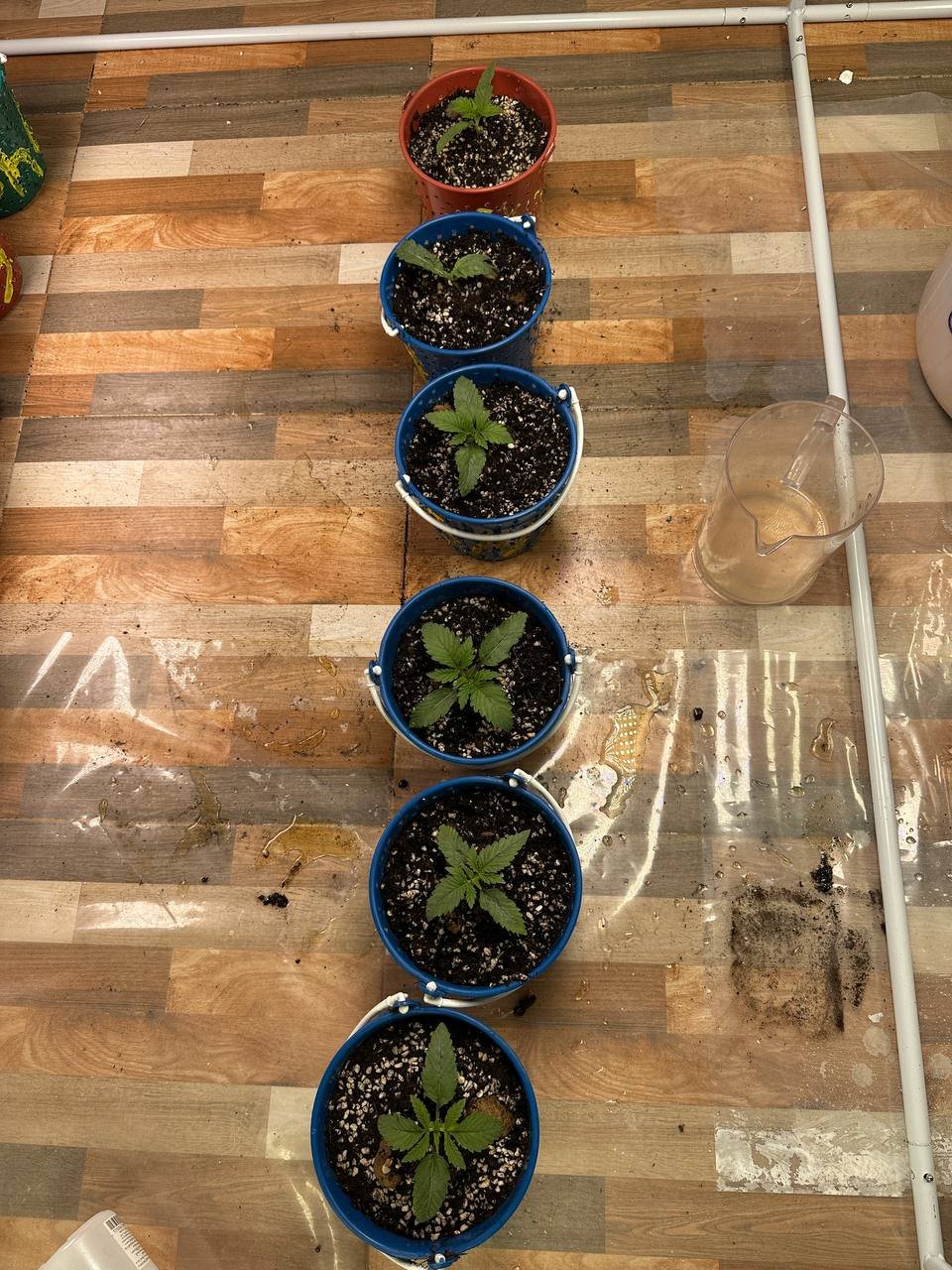 photo_2022-12-06_16-40-56.jpg photo_2022-12-06_16-40-56.jpg