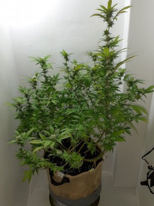 20221212_134238.jpg 20221212_134238.jpg