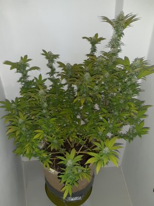 20221213_101552.jpg 20221213_101552.jpg