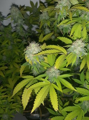 20221213_104321.jpg 20221213_104321.jpg