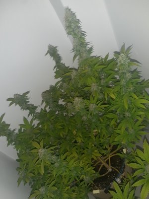 20221213_132804.jpg 20221213_132804.jpg