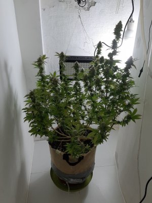 20221214_091914.jpg 20221214_091914.jpg