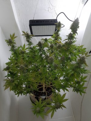 20221214_091902.jpg 20221214_091902.jpg