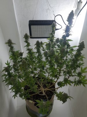 20221214_103203.jpg 20221214_103203.jpg