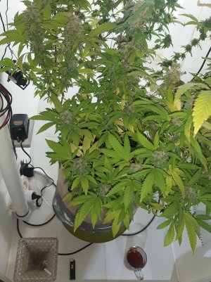 20221214_103315.jpg 20221214_103315.jpg