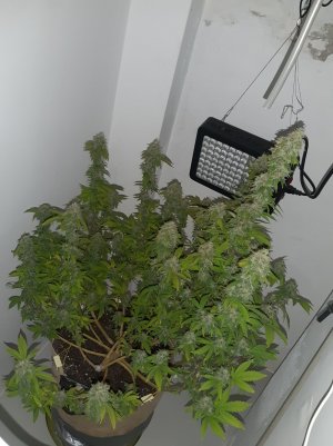 20221214_120127.jpg 20221214_120127.jpg