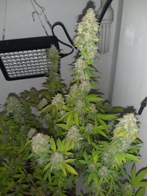 20221214_115808.jpg 20221214_115808.jpg