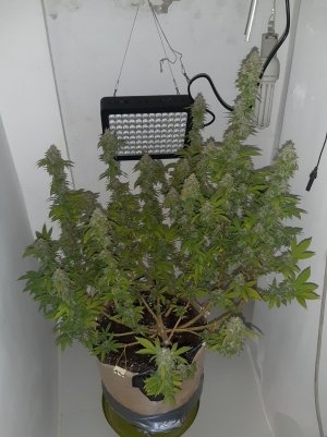 20221215_090415.jpg 20221215_090415.jpg