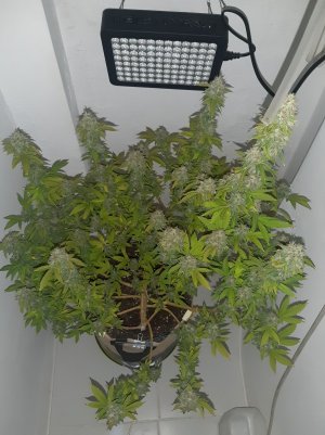 20221215_090315.jpg 20221215_090315.jpg