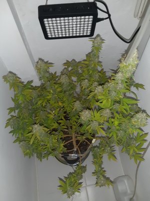 20221215_100550.jpg 20221215_100550.jpg