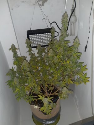 20221215_111557.jpg 20221215_111557.jpg