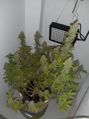 20221215_134423.jpg 20221215_134423.jpg