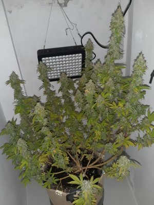 20221215_134348.jpg 20221215_134348.jpg