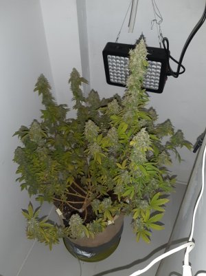 20221215_135202.jpg 20221215_135202.jpg