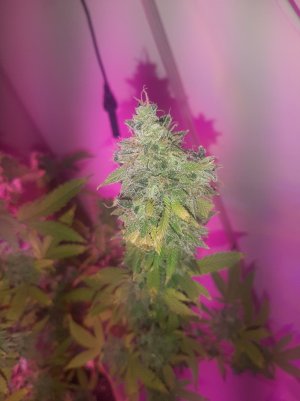 20221216_090038.jpg 20221216_090038.jpg