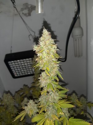 20221216_094648.jpg 20221216_094648.jpg