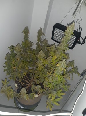 20221216_094637.jpg 20221216_094637.jpg