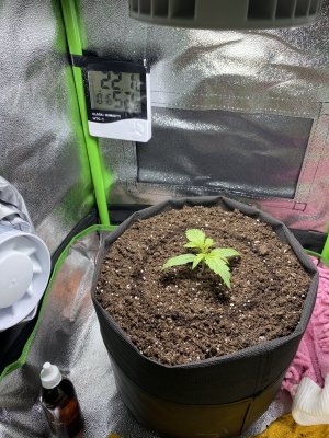 3A3BE759-4A4E-4733-866D-AF15B3DDEE21.jpeg 3A3BE759-4A4E-4733-866D-AF15B3DDEE21.jpeg