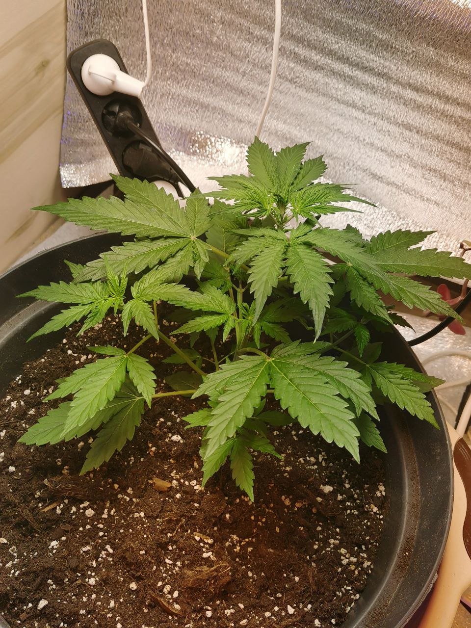 12 — копия.jpg