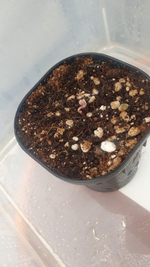 20221225_194827.jpg 20221225_194827.jpg