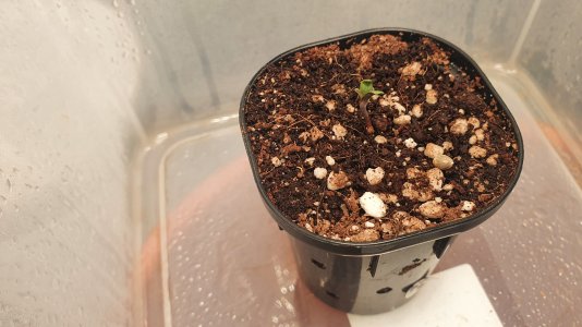 20221226_081200.jpg 20221226_081200.jpg