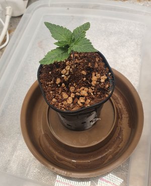 20230103_091115.jpg 20230103_091115.jpg