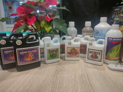 IMG20230106100039.jpg IMG20230106100039.jpg